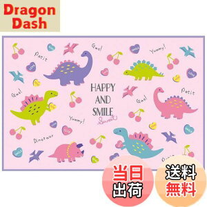 yzXP[^[(Skater) qp W[V[g  STCY 60×90cm nbs[&X}C VS1-A