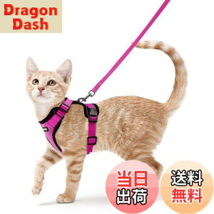 yzRabbitgoo L n[lX [h Zbg Ȃ Lpn[lX \tgy Lp ^ ^ U ЊQ ́[˂ [ グ TCY߉ 锽 ʋC