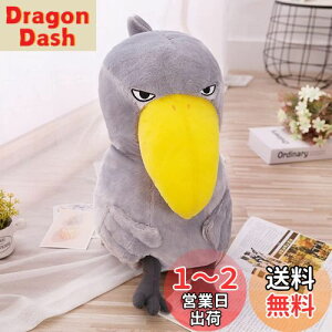 yzJINUO nVrRE TvCY ʂ  JCCXJƃtHbNX ̑ l`MtgTvCY LA킢Mtgxbh[X[sOEGX