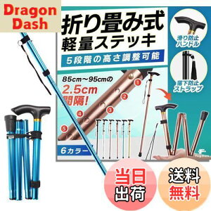 yzyŌtďCzfogman  ܂肽 y XebL  j   Lk 5iK (u[)