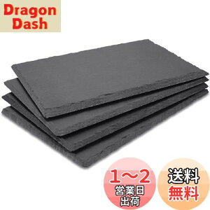 yzX[gXg[ GOH DODD 4 25 × 12 cm pM VR v[gXg[  XCX (NbVt)