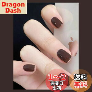 yzFuyunohi lC`bv V[g  Z V[glC`bv n  ؍ GKg Ȗ ʃe[vt ȒPɎt 24Zbg DIY ֗ lCpi   