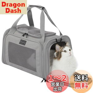 yzPETSFIT ybgL[ ܂肽 L L[ obO  E^LpE^Ep LCȂ ԍ/hCu/LsO/s/ʉ@/ЊQp O[ STCY