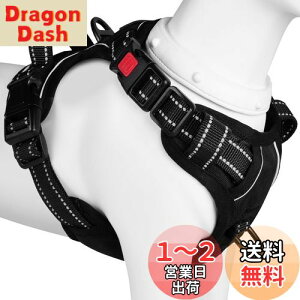 yz[2025ŐV^n[lX]BaoCheng p ^/^/^n[lX p h~ A^}ʂ P݌y TCY\ Ԕˍ Ȃ ʋC ȒP