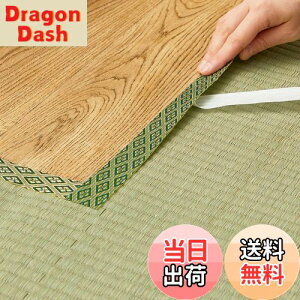 yz(Hagihara) EEȌCpe[v O[ 2m uNo.12v {