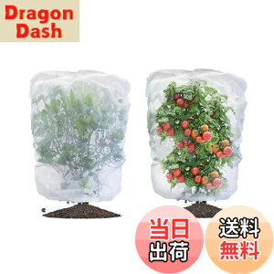 yzLIANHATA hlbg 2Zbg AیJo[ bVВ hlbg 悯Jo[ ؖ ΍ ʋC  Ap ؍͔| ؉v^[p (80*80cm)