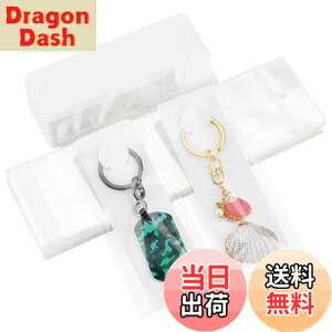 yzPH PandaHall 䎆 uXbg L[z_[p 100 OPPܕt L[O Wp  WJ[h n ANZT[p[c ̔p WG[p nhCh ifBX