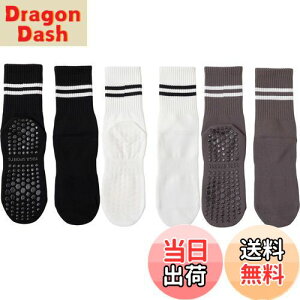 yz[DFsucces] K\bNX ~ KC 3 Õ\bNX  ۉ seBX \bNX RۏLC z z ʋC X|[c tBbglX I[V[YΉ 