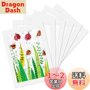yzHaojiaho Wp tHgt[ 6Zbg A4TCY ypCz q̊G Wp A[gt[ Ǌ|  y  G拳 G W y[p[tHgt[ q