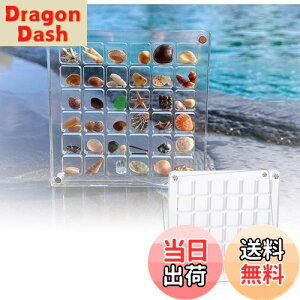 【送料無料】siawadeky 貝殻 ディスプレイ ボックス 2個セット 全透明 マグネット式 ミニ貝殻ボックス 防水 防塵 アクリル製 シェル収納ケース 巻貝 ヒトデ ネイル ビーズ 小物入れ 磁気ケース