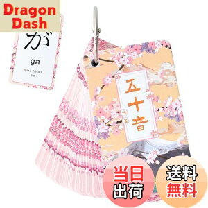 yzPAVIKE Ђ炪ȃJ[h J[h ЉJ[h  J[h  {̕׋ Ol  y ^тɕ֗ tbVJ[h ܏\J[h {wKJ[