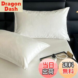 yzJo[ 2g 100 TeD 100Ԏo  400{xn zedl h_j s[P[X ܂Jo[ 2Zbg VN̂悤ȔG k 炩 _炩 