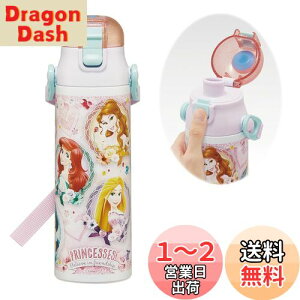 yzXP[^[(Skater) qp XeX   580ml fBYj[ vZX 24 qɗDyʃ^Cv ۗp waterbottle X|[c{g  LbY q ǂ r