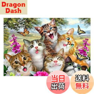 yzJISHSHAY _ChA[g L 50x40cm _ChA[g Lbg r[YA[g _ChA[g  DIY _ChA[g  5D _ChA[g  lC Lbg 