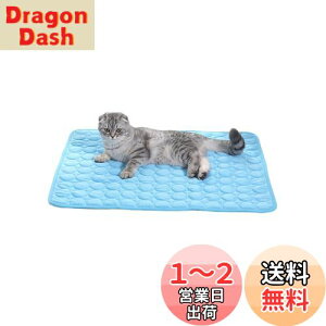 yzYFFSFDC ybg Ђ}bg  L N[}bg 40×50cm  Ђ p }bg  M M΍ ڐG⊴ p Lp xbh ObY (u[)