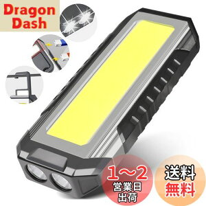yzCHAMCHOI LEDƓ [NCg led [dyő3000LM 5000mAHe IP66hzPx 7_[h ̓}Olbg Type-C[d tbNt d@\ pCg RpNg 