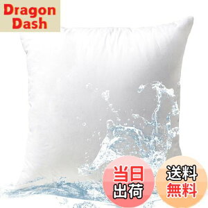 yzy.co.jp zPhantoscope NbV g 45×45cm Pi VR RۖhL 􂦂 _炩 k[hNbV H h {[ O zedl eǂ 