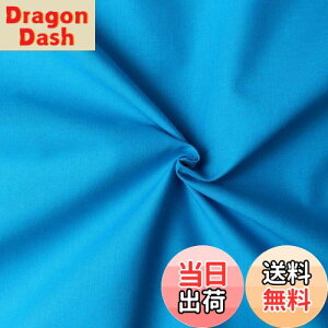 yz{Rtf(Nippon Chuko) GCeBXNGA n n 100% V[eBO ^[RCY u[n Ж108cm×50cmؔJbg KD4630-247-50CM