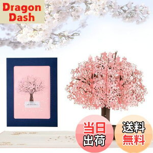 yzKesote bZ[WJ[h  ̃J[h |bvAbvJ[h o^C    t