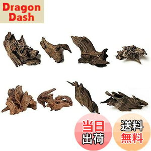 yz8 كVN R GCuؐ̑ i 8`10cmj