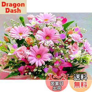 yzDIYNXXeb`Lbg_ChG5DhLbgAsN̔WOWDECORthDIY_ChA[gyCgG (t[Y)