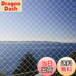 yzhlbg x_悯lbg 4m×10m JX ΍h ʎ؍͔|hblbg LNEh~ F ioh 15{tjLimthe