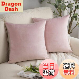 yzPhantoscope NbVJo[ xxbg 2Zbg Vv zcJo[ n Gǂ xA xr[sN 45×45cm