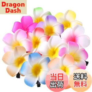 yzFrcolor  wAs wANbv  vA wAANZT[ wANbv nC  wbhhX 6cm 12F 24Zbg