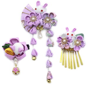 yz[JZOON]  3_Zbg l ܎O    U a ܂ݍ׍H  Ǝ  lC a wA[ANZT[ 񂴂 [ w \ t 