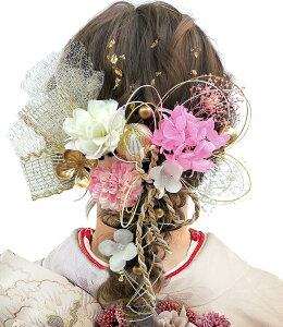 yz[JZOON]  l hCt[  Ǝ a  U   vU[uht[  RAW  a A7001