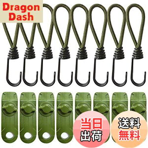 yzDanYun 16_Zbg egNbv jXgb`R[h LvNbvZbg Œp h ^[vNbv tȒP AEghA O Nbvz_[ egNv