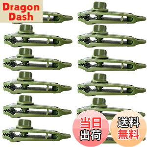 yzDanYun egNbv LvŒp 12 ^[vNbv vX`bN h  tȒP lWbN^ AEghA O Nbvz_[ egNv