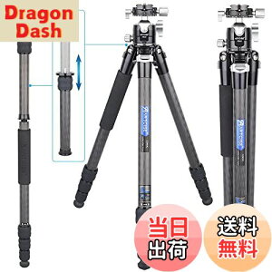 yzJ[{ Or RpNggxOr 29mmpCva S1815mm ARTCISE 2024NŐVfUC yʐ݌v 4i ibgbN rώiKp JrfI Or ω׏d15kg vt