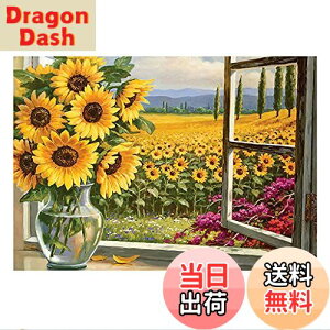 yzJISHSHAY 5d _ChA[g _ChyCeBO Ђ܂ _Chh UCNA[g UCNr[Y Sʓ\t^Cv r[YA[g r[YG 5D nh