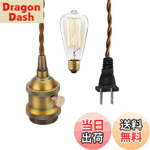 【送料無料】FSLIVING コンセント式 300cm 電球付属 スイッチ付き コード茶 レトロ 1灯ペンダント ツイストコード インテリア照明 カフェ LED電球対応 E26