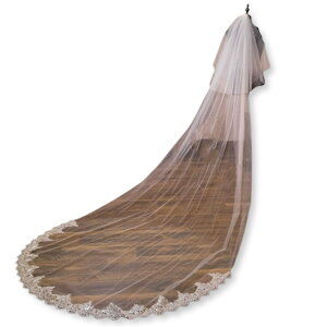 yzLezalic EGfBOx[ O  ԉ  I t OB P[V Be tHg