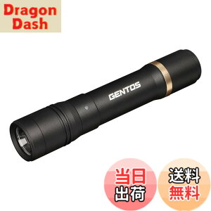 �y���������zGENTOS(�W�F���g�X) �����d�� LED���C�g �[�d�� 200~900���[���� ���N�V�[�h RX-285R/RX-286R/RX-304R/RX-386R/RX-486PB �F�F�u���b�N�A�T�C�Y�F���a30.1x150.4mm