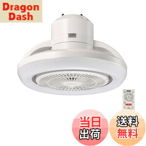 �y���������z�h�E�V�V�� �T�[�L�����C�g �F�F���F