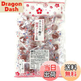 【送料無料】赤城フーズ 種とりカリカリ梅 210g サイズ：210gx1袋