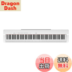 �y���������z���}�n �d�q�s�A�m P-225B�{�� �F�F�z���C�g