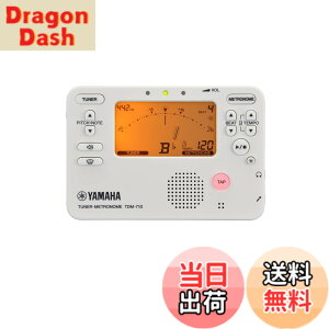 �y���������zYAMAHA TDM-710 �F�F�A�C�{���[