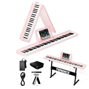 �y���������zTERENCE �d�q�s�A�m 88���� V20-Z �F�F�s���N�A�T�C�Y�F�R���p�N�g