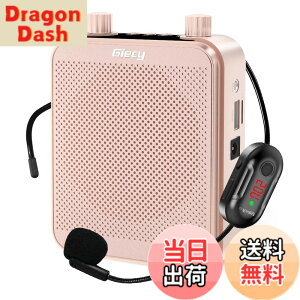 �y���������zGiecy �g���� ���C�����X�g���� �����g���� �|�[�^�u�� ���^���K�z��30W 2800mAh USB microSD �Ή� �g����n���Y�t���[ �L���ƃ��C�����XUHF�}�C�N�t�� �L�͂ɋ��t�̋���A�C�x���g�A��