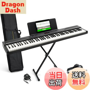 �y���������zAlesis �d�q�s�A�m 88���� Recital Play & Recital Black �F�F�A�N�Z�T���[�t���A�u���b�N�A�T�C�Y�F�A�N�Z�T���[�t��