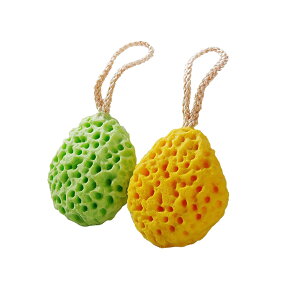 yz{fBX|W v~AoX[X|W z _炩 ь Ȃ ɗD c xr[ qp lppi VRC LɖA Aălbg