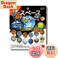 【送料無料】[アドバンス]ザ・スペース マグネット バスボール ラズベリーの香り 直径約60mm 色：ザ・ス…