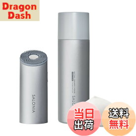【送料無料】SALONIA サロニア 洗顔ブラシ イオンフェイシャルブラシ 色：シルバー