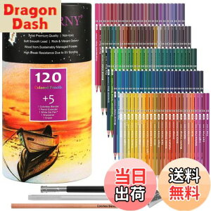 yzHIFORNY 125{̃J[yVZbgAl̓hGpA120F̃J[yVƃGNXgAA[eBXg̃\tgRAAlASҁAq̃h[COyVA[