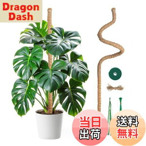 【送料無料】Mcbazel 観葉植物 支柱 モンステラ 120CM 園芸用支柱 曲げ可能 ココナッツ・つる植物支柱 ガーデニング用具 7MM幅 コイアポール成長用 維持水分・養分維持・農業・ 園芸用