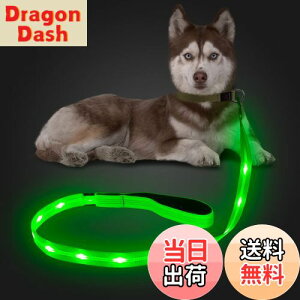 yzCandofly ˌ^ LED p[h - ÈłŌ錢p[h USB [dƖtp[vA4 tB[g̑ϋv̂ϐ_Ōp[hAybǧ̖̎Up ()